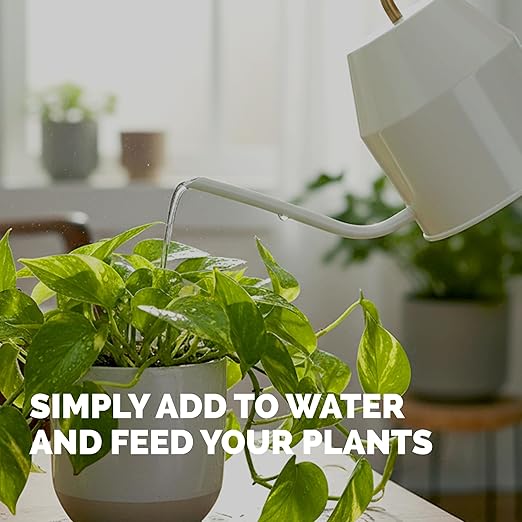 Pothos Fertilizer – Liquid Plant Food for Lush Growth, Stronger Roots & Vibrant Leaves, 8 oz