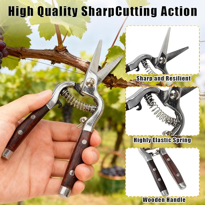 Garvee 2 Pack Garden Pruning Shears for Gardening, Wood Steel Handle Bypass Pruning Shears for Gardening, Curved Straight Garden Shears, Gardening Tools for Plants Flowers Light Branches