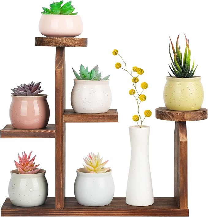 Wood Desktop Plant Stand - 5 Tier Tabletop Plant Shelf Windowsill Flower Shelf Holder Indoor, Small Succulent Herb Display Rack for Home Office Living Room Bedroom Decoration