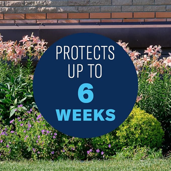 BioAdvanced Shrub Care Protect & Feed, Granules, 4 lb, Shrub Fertilizer