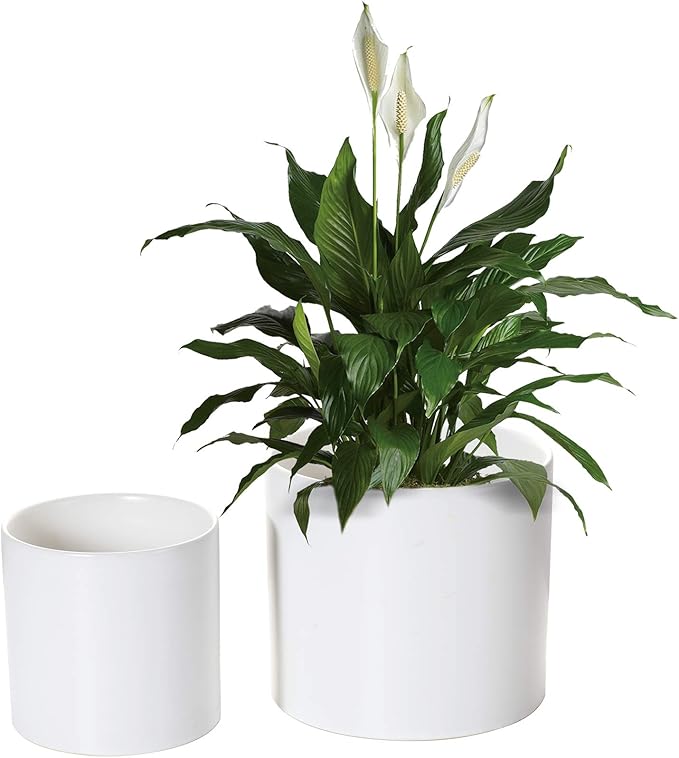 Nihow Flower Pot - 5 & 7 Inch Ceramic Planter Pots for Indoor Plants - Sturdy & Mordern Cylinder Plant Pot with Drainage & Removeable Rubber Plugs - Matte White (Set of 2) - Plants Not Included