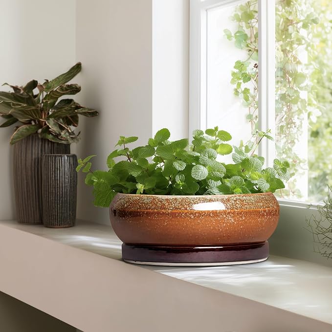 Bonsai Pots 13 Inch - Large Ceramic Succulent Planter for Indoor Outdoor, Round Shallow Planters with Drainage Hole and Saucer, Large Succulent Pots, Patio Decor, Garden Gifts, Retro Brown