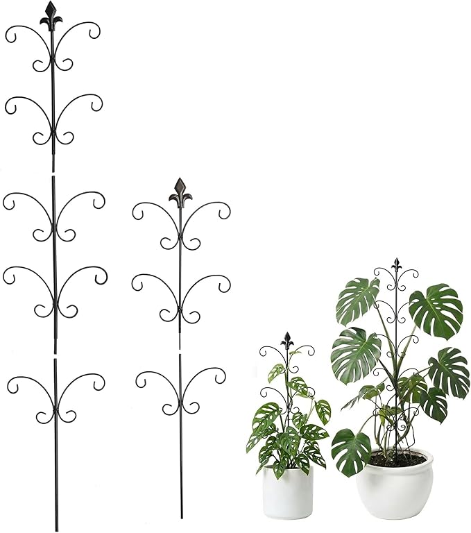 Metal Monstera Plant Support 2-Pack, Adjustable Height Steel Plant Trellis for Pothos, Vining & Climbing Potted Plants, Indoor & Outdoor, Sturdy Rotatable Plant Stakes with Rounded Ends, 31" & 46"