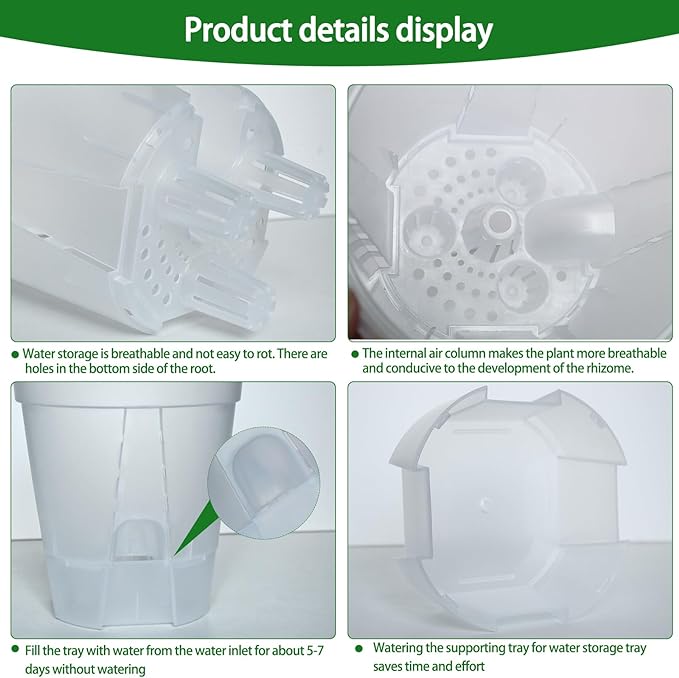 Cdd's Path 6-Pack Bare Root Planter Self Watering Pots Set with Holes for Indoor/Outdoor Plants, 2 Each of 5, 6 and 7 Inch Planter Pot with Watering Hole/Reservoir and Air Pipes, Clear