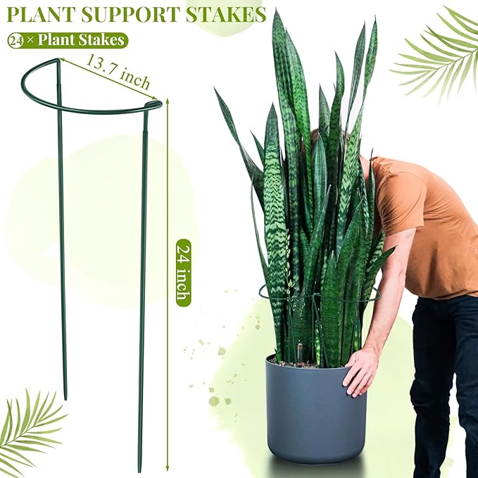 Tioncy 24 Pcs 24 H x 10 W Plant Support Stakes Cages for Garden, Metal Half Round Plants Tension Rods for Indoor Outdoor Large Tall Flower Vegetables Tomato Peony Rose Support
