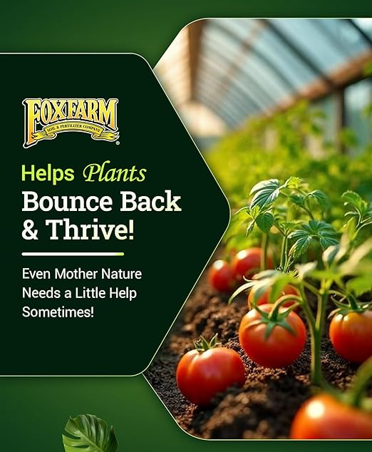FoxFarm Bush Doctor Boomerang - 2-0.2-0.3 Comeback Formula - Microbial-Based Liquid Plant Fertilizer for Root Zone Support, Immediate Nutrient Uptake - Helps Plants Recover from Abiotic Stress-1Gallon