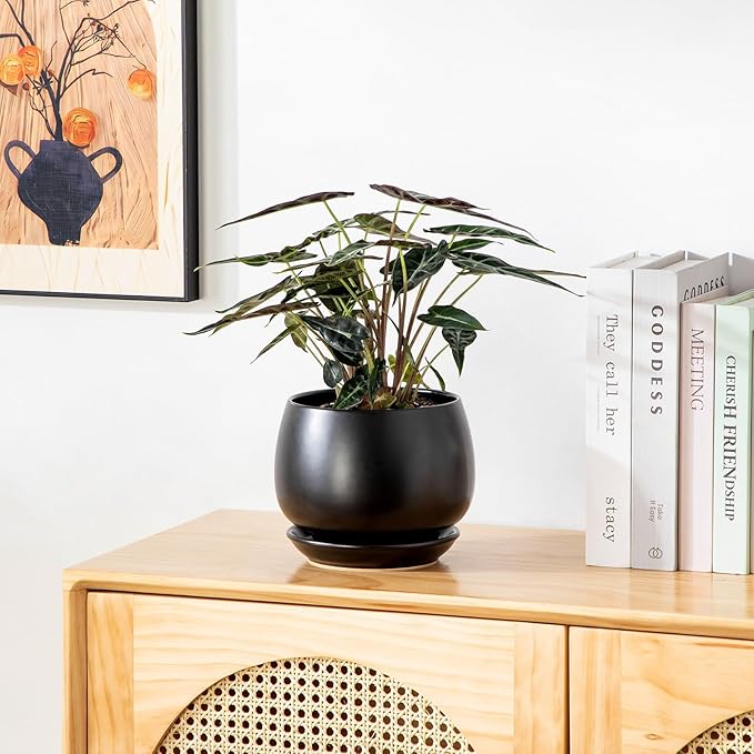 vancasso 3-Pack Ceramic Plant Pots, 3.7/4.8/6.2 Inch Indoor Planters with Saucers & Drainage Hole Planter pots for Indoor Plants and Flower, Black
