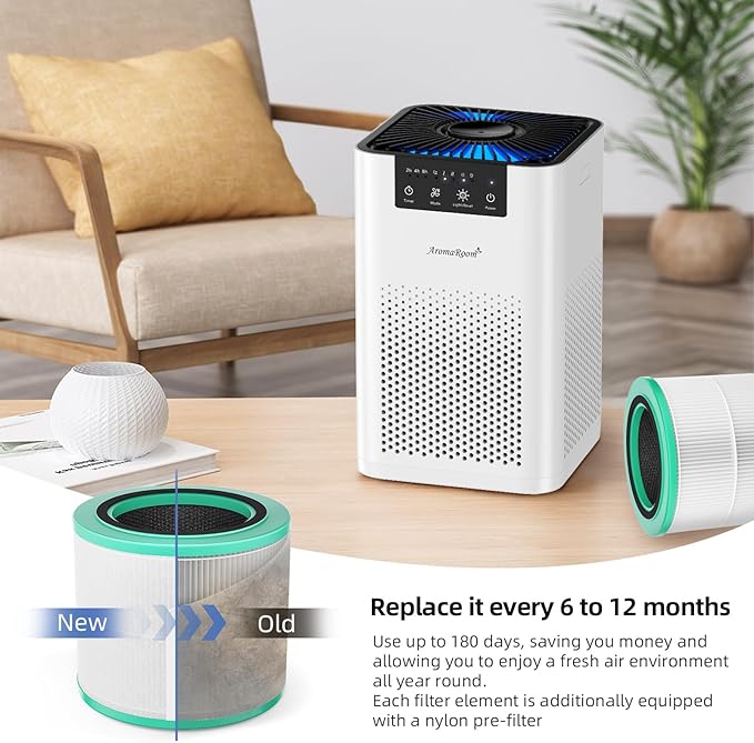 AromaRoom Smoke HEPA H13 Air Purifier Filter Replacement with Coconut Shell Carbon Filters, Compatible with AP100/AP102, Effectively Eliminates Smoke, Harmful Gases, Odors, 2 Packs, AP100-RF-SR，Green