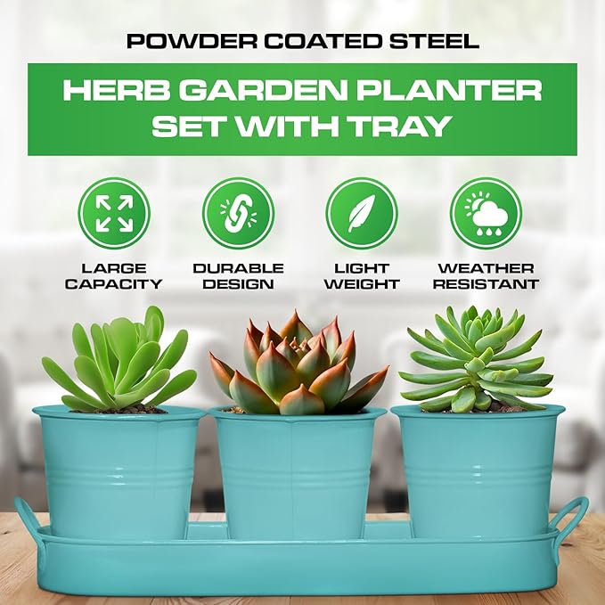Plexon Herb Planter Indoor Garden Set of 3 with Tray, Metal Herb Pots for Indoor Plants, Round Kitchen Garden Kit Ideal for Windowsill Planter or Countertop, Aqua Mist Blue Powder Coated