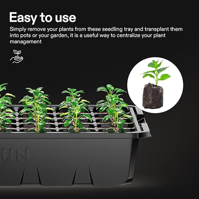 VIVOSUN 6-Pack Seed Starter Trays, 240-Cell Seed Starter Kit with 2 Set of LED Lights, 3.6" Higher Cover, Adjustable Vents, Drainage Holes, Green Propagation Tray for Planting Seed, 40 Cells x 6 Packs