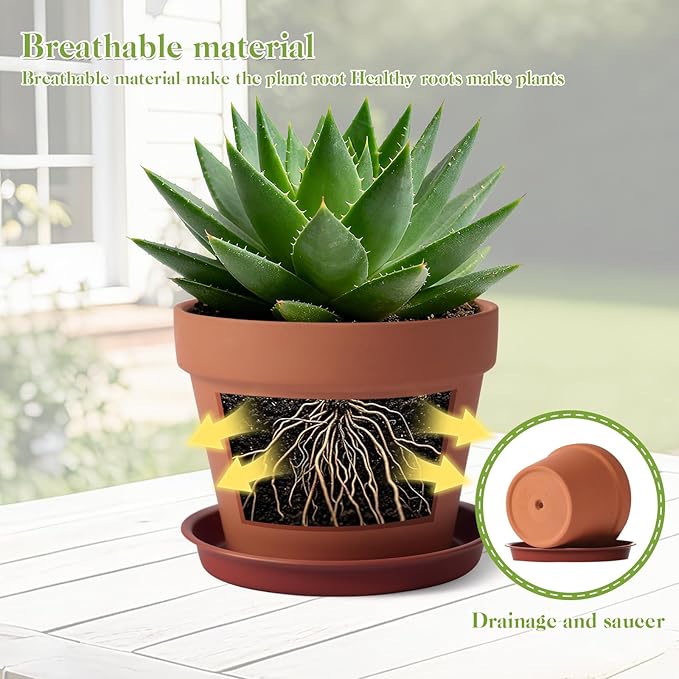 KOAMLY 6 PCS Clay pots and Plates, 5-inch red Clay pots with Drainage, Perfect for Indoor, windowsill, and Garden Plants