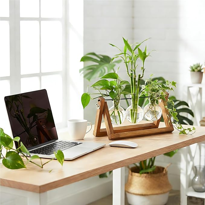 Renmxj Plant Propagation Stations with Wooden Stand & 3 Glass Bulb Vases - Plant Terrarium for Indoor Plants, Home Office Desk Decor, Gardening Gifts for Women Mom, Birthday Gifts for Plants Lovers
