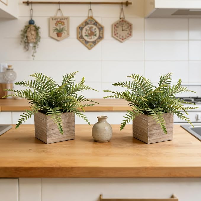 2 Pack Medium Fake Fern Plants with 4 Inch Wooden Planters, 9" Inch Tall Indoor Artificial Fern Plants for Shelves, Desktop, Bedroom, Office Decor