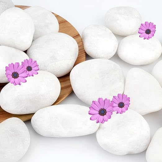 NUPICK 12lb White River Rocks for Plants Indoor, 2-3Inch White Pebbles for Vases Fillers, Decorative Gravel for Fish Tank, Natural Polished Stones for Succulent, Bonsai, Landscaping, Bird Baths