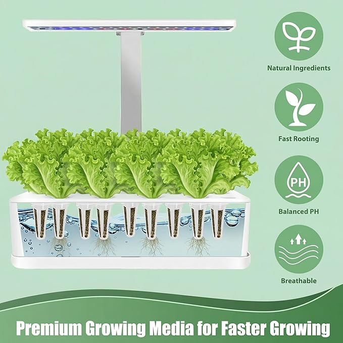 Iceberg Lettuce Seed Pods Kit for Hydroponic, 12 Pods Grow Anything Hydroponics Kit for Indoor Garden, Hydroponics Supplies with 12 Grow Sponges, 12 Plant Baskets, Iceberg Seeds - 12 POD