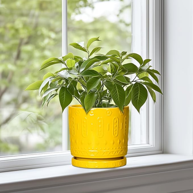 Eightpot 6 Inch Pots for Plants, Ceramic Pots for Plants with Drainage Holes and Tray, Round Planter for Indoor Outdoor, Modern Plant Pot, Decorative Flower Pot, Table Decor, Teacher Gift, Yellow
