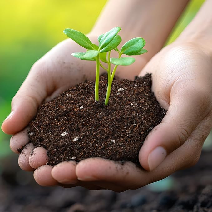 Doter Seed Starter Potting Soil Mix 1qt, Seed Starting Mix for Germination and Growth, Loamy Compost Well-Drainaged Soil Fit for Vegetable, Flower, houseplant
