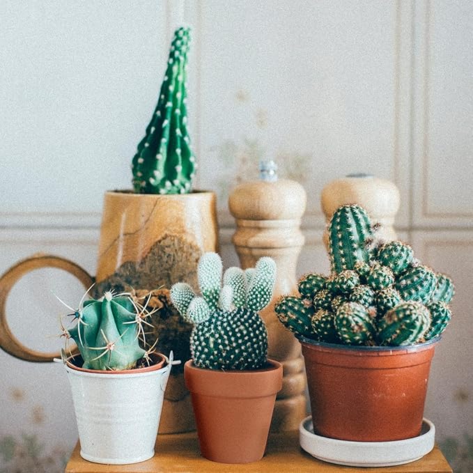 Sderoq 3 Inch Terracotta Pots - 22Pack Clay Flower Pots with Drainage Hole, Succulent Nursery Pot/Cactus Plant Pot. Great for Plants, Crafts, Wedding Favorn, DIY Production