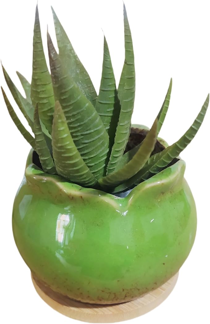 Cute Circular Ceramic Home Garden Decoration Succulent Cactus Flower Pots Container with Bamboo Tray -Plant Not Included (Green, 4 Inch)
