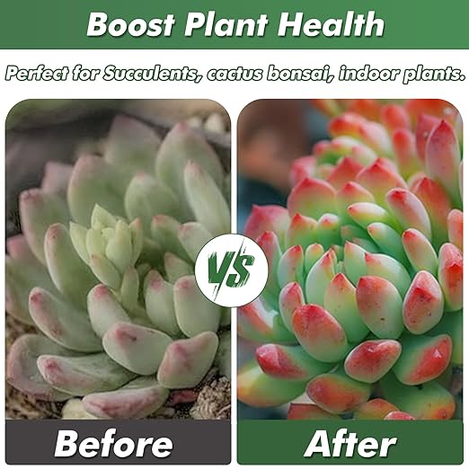 11 lbs Succulent and Cactus Bonsai Pebbles, 4-6mm Decorative Landscaping Stones Natural Garden Gravel Rocks for Indoor Outdoor Plants Aquariums DIY, and Gardening Top Dressing, Green Zeolite