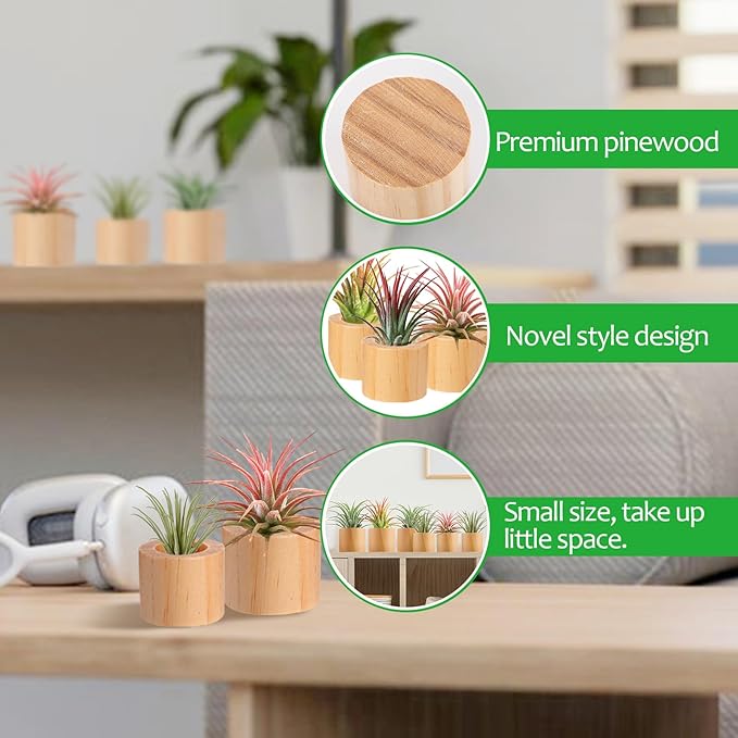 Bigmeta 6 Pcs Wood Air Plant Holder - 1.2" & 1.4" Rustic Style Airplant Display Stands for Women Gifts