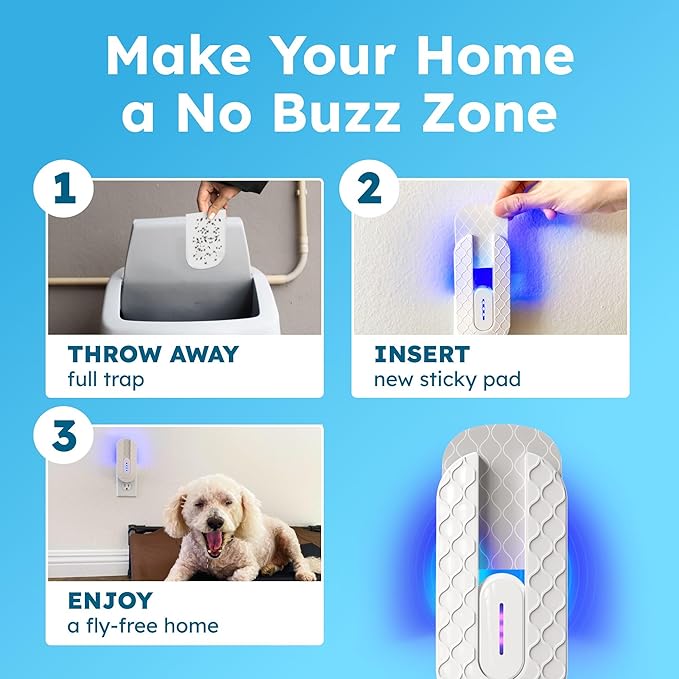 BugMD Fruit Fly Trap Indoor for Safer Home, Gnat Traps for House Indoor, Gnat Killer, Plug in Bug Catcher, Fly Trap, Insect Traps, Fruit Fly Killer