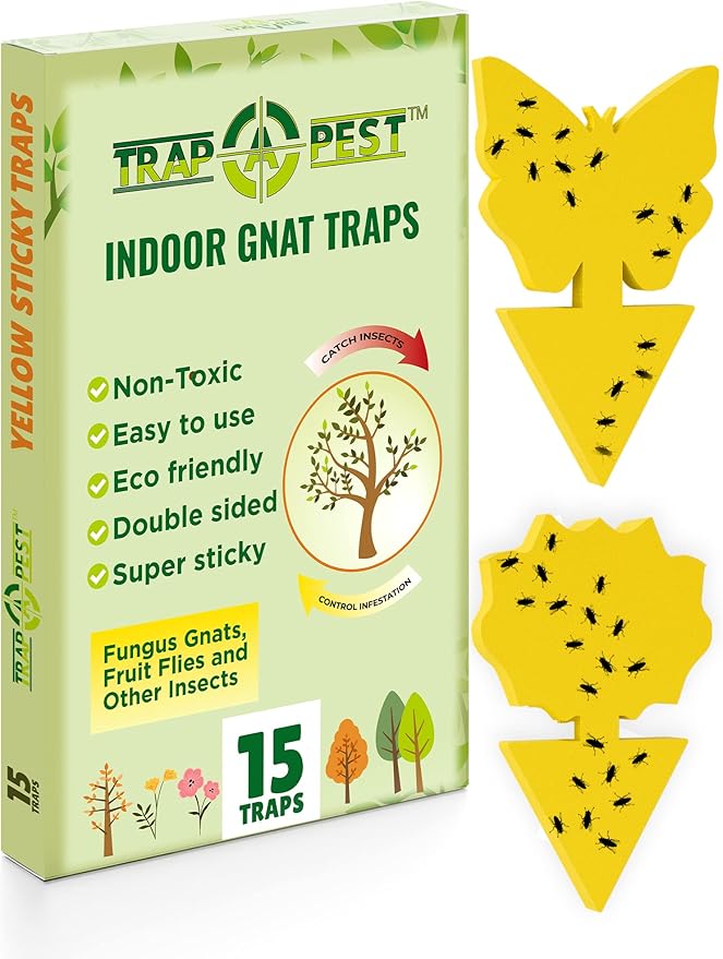 15 pcs Gnat Traps for House Indoor, Fungus Gnat Sticky Traps for Plants, Sticky Traps for Gnats - Plant Sticky Traps for Bugs, Sticky Fly Traps for Plants Trap Fungus Gnat, Fruit Fly and Other Insects