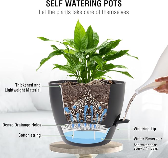 Meowell 10 inch Self Watering Hanging Planters, 2 Pack Hanging Baskets for Indoor Outdoor Plants, Hanging Flower Pots with Drainage Holes & 2 Kinds of Plant Hangers for Garden Home Decor, Black