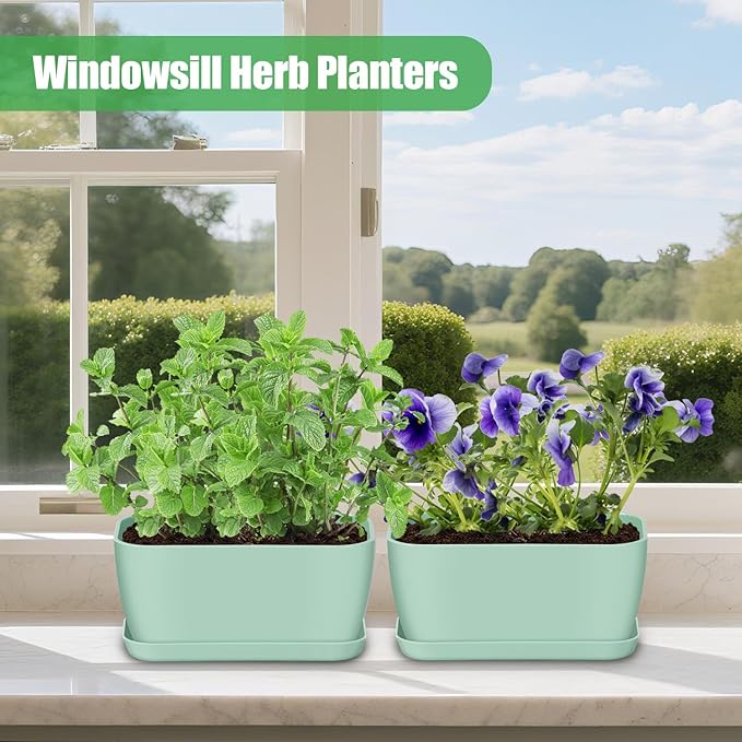 Oliz 6 Set Window Herb Planter Box Rectangular, Green Plastic Planters with Multiple Drainage Holes and Trays,Indoor Succulent Cactus Mint Flower Pot for Windowsill, Garden Balcony