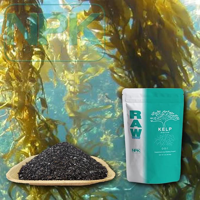 RAW Kelp Marine Water-Soluble Plant Growth Booster Fertilizer for Root Development and Plant Growth, 2oz