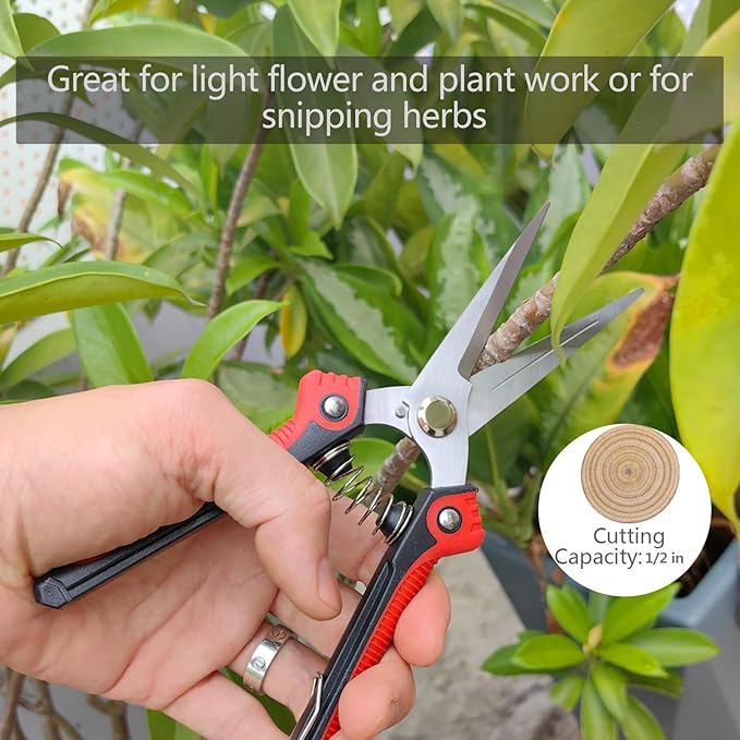 Gardening Scissors Hand Pruner Pruning Shear with Straight Stainless Steel Blades, Flower Cutter Garden Clippers, 8.1 Inch (Green)