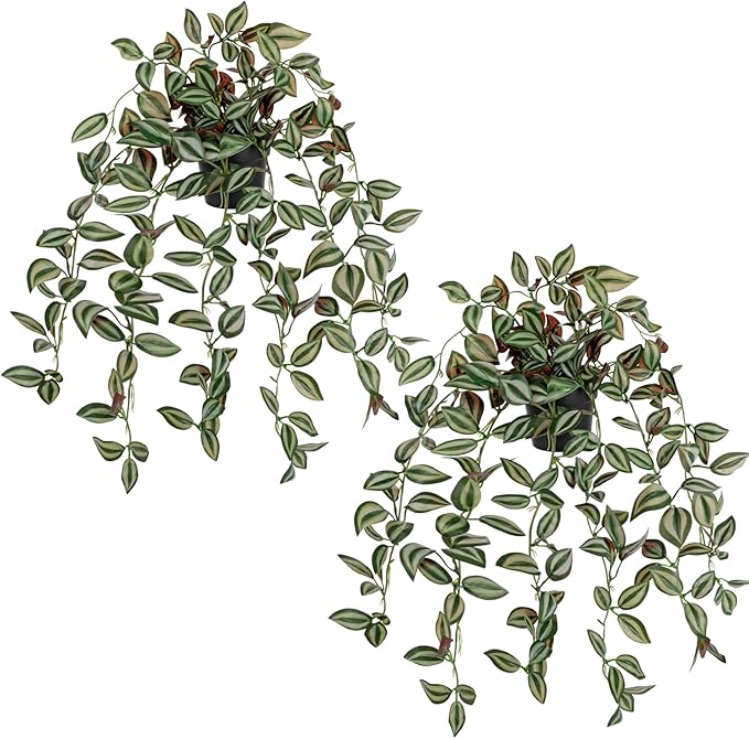 2 Pack Fake Hanging Plants for Shelf in Back Pot, Small Artificial Hanging Ivy Vine Plants Indoor Fake Potted Greenery Plant for Home Room Wall Tabletop Mantel Decor, Mimi Faux Peperomia Plant Set