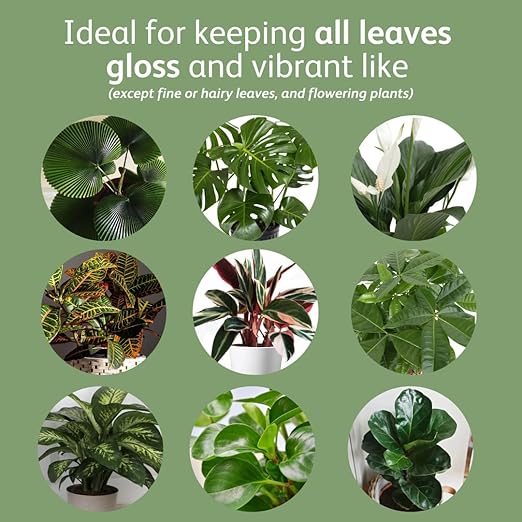 Chrysal LeafShine Spray for Indoor Plants (25oz 6 Pack)