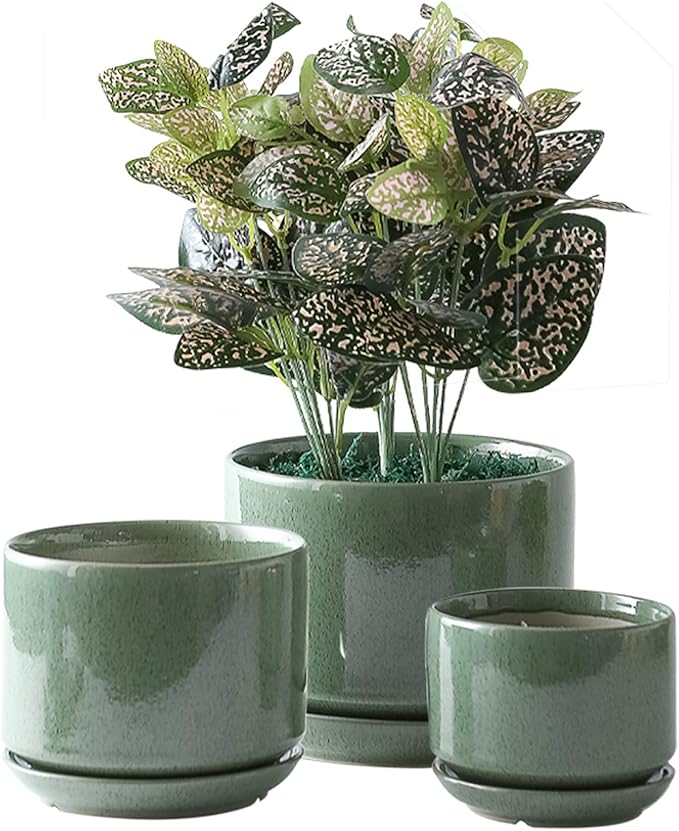 Yishang Succulent Plant Pots,6.7+5.3+4.1 in Glazed Ceramic Planters with Connected Saucers, Round Modern Ceramic Flower pots - Small to Large Sized Plant pots for All House Plants