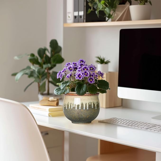 Ceramic Self Watering Pots, 6 Inch African Violet Pots with Absorbent Inner Pot, Round Self Watering Planter, Planters for Indoor Plants, House Decor, Plant Lover Gifts, Yellowish Brown-Beige