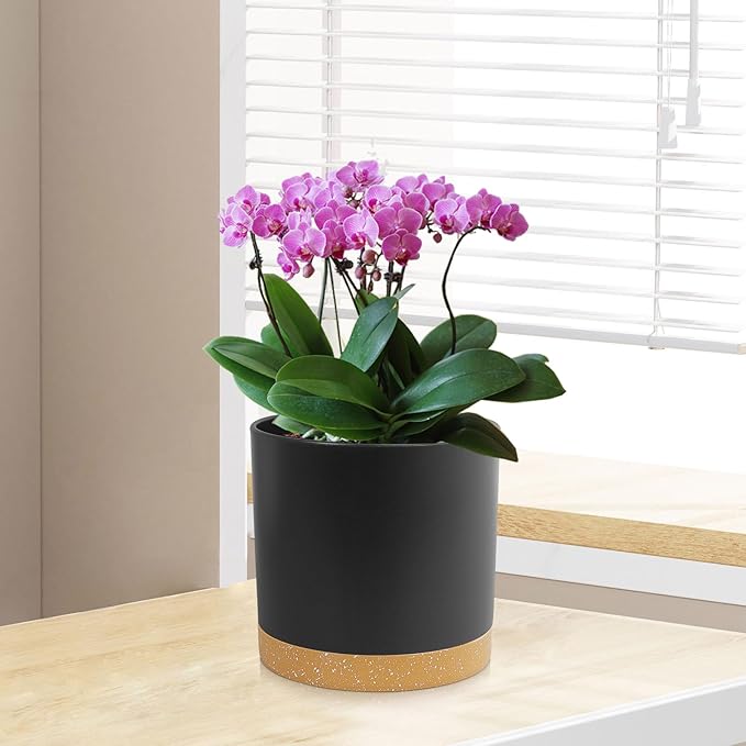 WSMKSZ 3 Pack 6/5/4 inch Cylindrical Flower Pots, Modern Small Round Plastic Plant Pots with Drainage Holes & Saucers, Clean and Refined Planter Pots for Outdoor, Indoor & Office Decor (Black Brown)