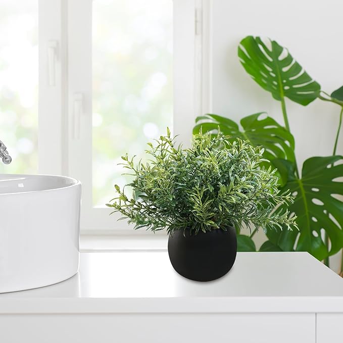 Winlyn Set of 3 Small Potted Faux Plants 8" Artificial Eucalyptus Rosemary Boxwood Plants in Black Concrete Pot Desk Plants for Home Office Bathroom Kitchen Counter Shelf Coffee Table Windowsill Décor