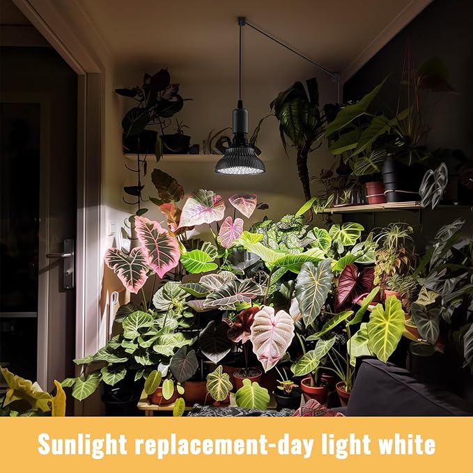 Hanging Grow Lights for Indoor Plants, 25W 5000K, LED Hanging Grow Light Bulbs with Timer, Height Adjustable Hanging Plant Light, Full Spectrum Pendant Grow Light for Seed Starting, Black