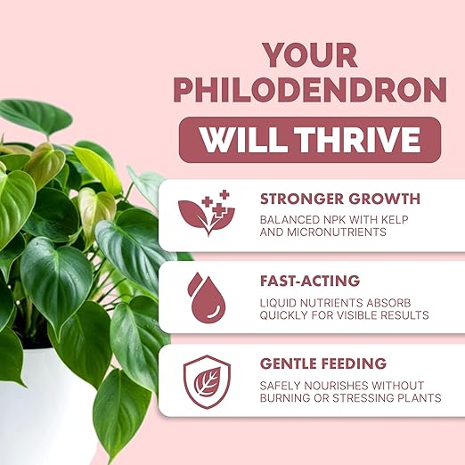 Philodendron Fertilizer – Liquid Plant Food for Bigger Leaves, Lush Foliage & Steady New Growth, 1 Gallon