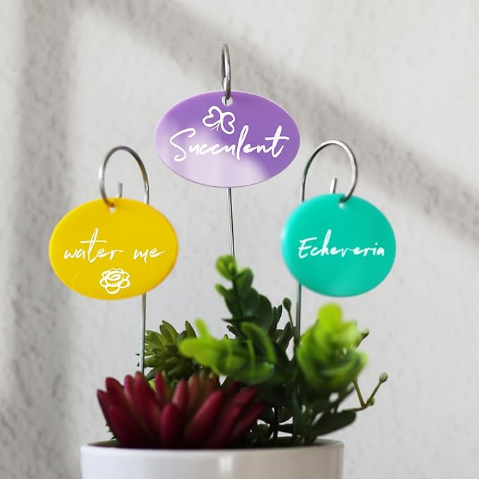 Temlum Plant Labels With Marker Pen, 25 Pcs Garden Markers Label Stakes Sign Tags for Outdoor Plants, Flowers, Herbs, Seed (Multicolor)