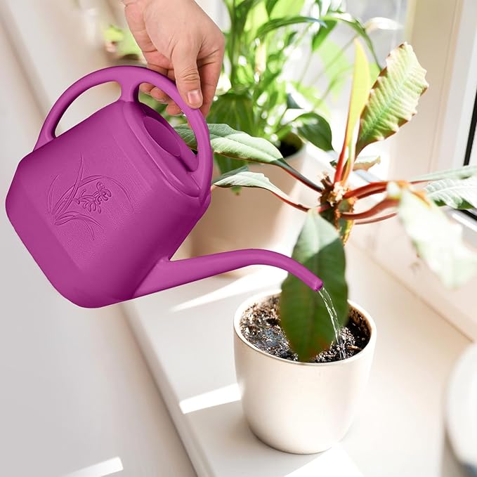 Plastic Watering Can - for Indoor and Outdoor Plant - 1/2 Gallon - Rose Red