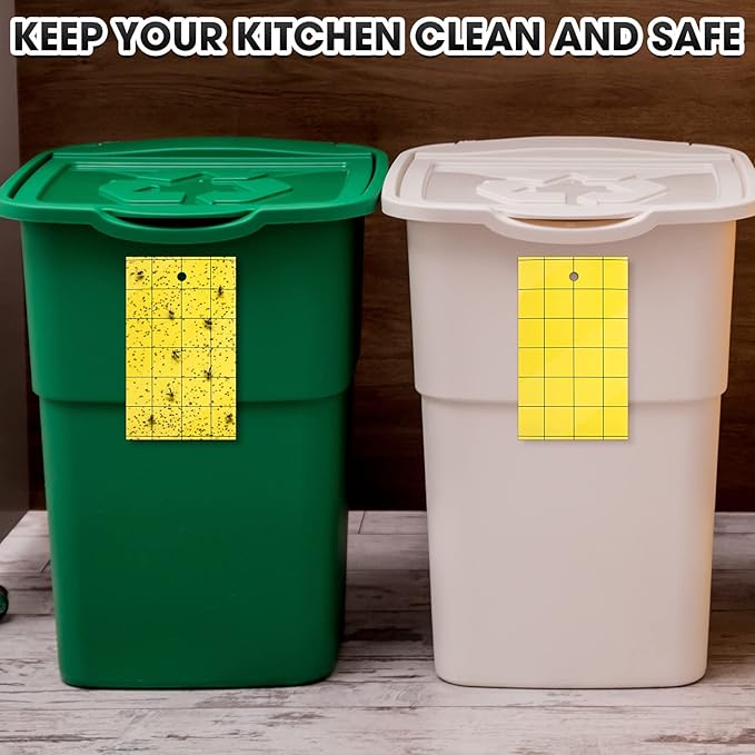 Qualirey 400 Pcs Sticky Trap for Gnats Dual Side Sticky Fruit Fly Trap with Tie Plant for Flying Insect Fungus Bugs Flying Catcher for Indoor (3'' X 5'')