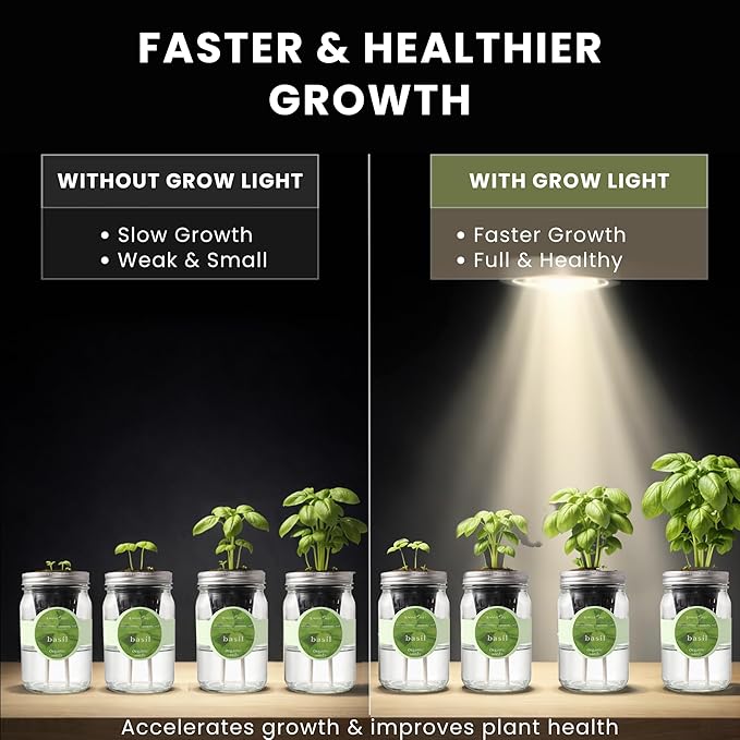 Indoor Herb Garden Kit with LED Grow Light – Hydroponic Mason Jar Basil Growing Kit with Organic Seeds, Self Watering Indoor Gardening System, No Soil Needed, Perfect for Kitchen Windowsill