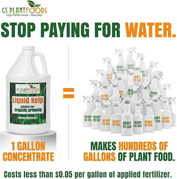 GS Plant Foods Liquid Kelp Fertilizer – Suitable for Organic Growing, OMRI Listed Seaweed Concentrate for Lawns, Gardens & Soil - 275 Gallons
