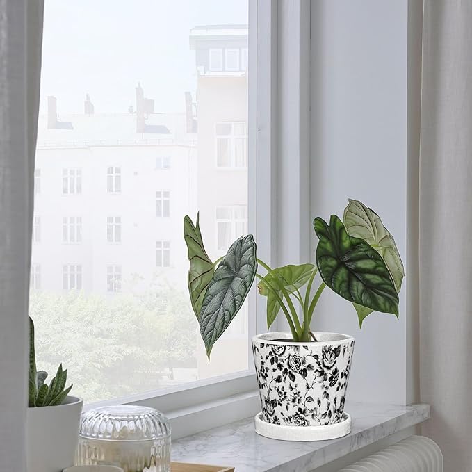 Set of 3 Black Plant Pots, Small Flower Pots Round Planter Pot with Drainage Hole and Saucers Modern Ceramic Planters for Indoor Plants Succulents Cactus Orchid Garden 5.5 Inch Outdoor Plant Pot