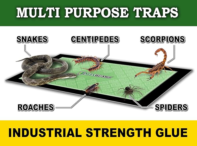 MaxGuard Extra Large Insect Traps (8 Traps) | Non-Toxic Extra Sticky Pre-Baited Glue Board, Trap & Kill Most Crawling Insects, Bugs, Spiders, Crickets, Scorpions, Cockroaches, Centipedes, Snakes.