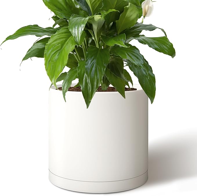 Giraffe Creation 14-Inch Round Cylinder Plant Pot, Modern Indoor/Outdoor Planter with Drainage Hole, Saucer & Water Reservoir, White