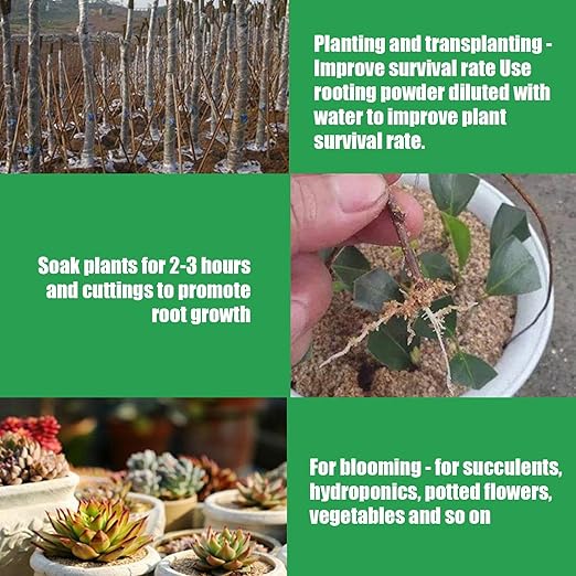 Plant Rooting Powder - Root Growth Stimulator, Cutting Propagation Aid | Clone Starter, Plant Hormons Booster, Soil Amendment, Seed Germination Enhancer, Rapid Rooting Formula for Cuttings & Seedlings