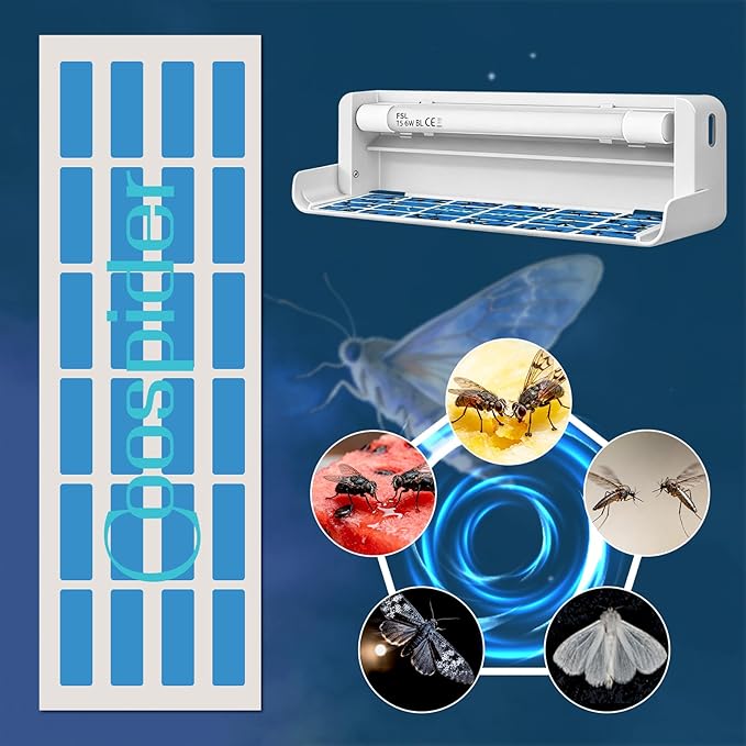 UV Fly Light Trap Indoor for Home Gnat Traps for House, Wall Sconce Fly Light Bug Catcher for Kitchen House & Restaurant Fruit Flies Garage & Warehouse (10 PCS Sticky Boards)