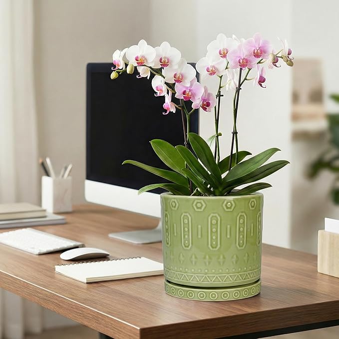 Eightpot Ceramic Pots for Plants, 8 Inch Plant Pot with Drainage Hole and Tray, Round Planters for Indoor Plants, Modern Flower Pot, Decorative Planter, Living Room Decor, Gardening Gifts, Green